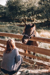 women kneeling down next to a slatted fence with a horse peering at her