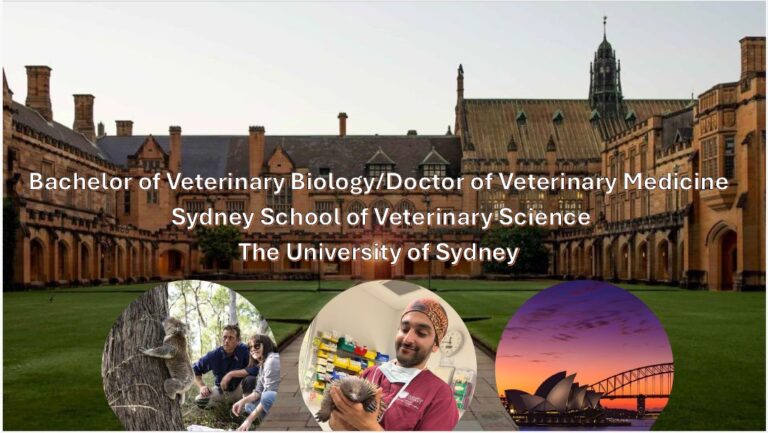 Photo of Sydney Veterinary School